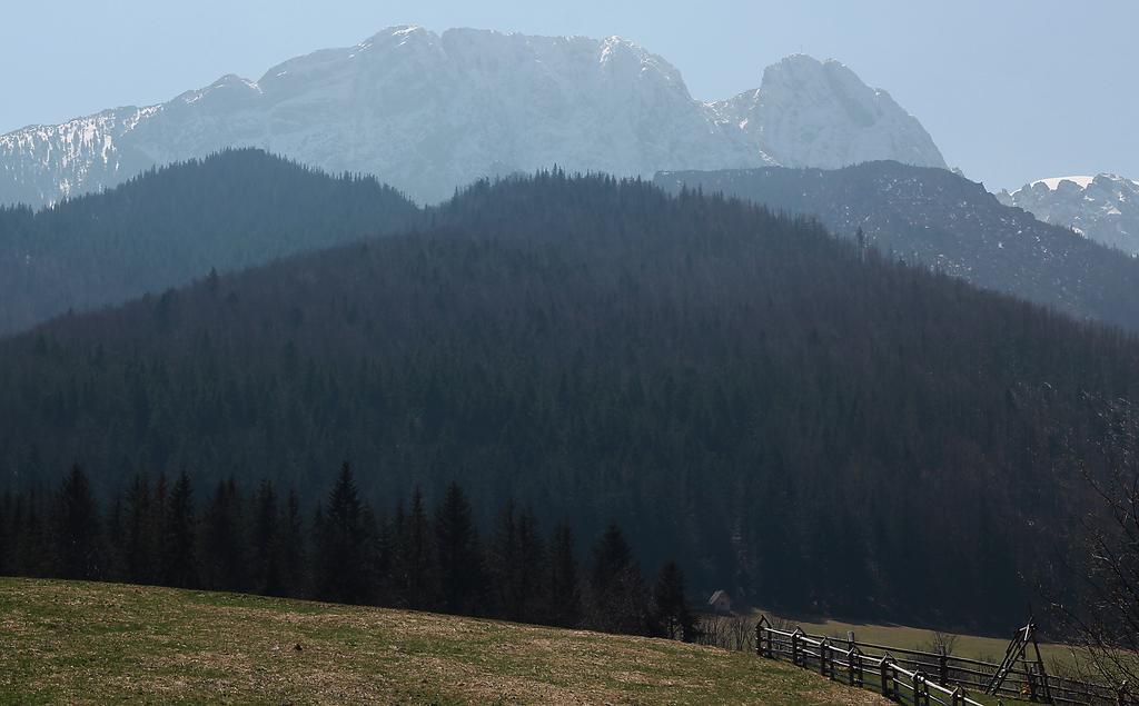 Willa Pod Halami Lägenhet Zakopane Exteriör bild